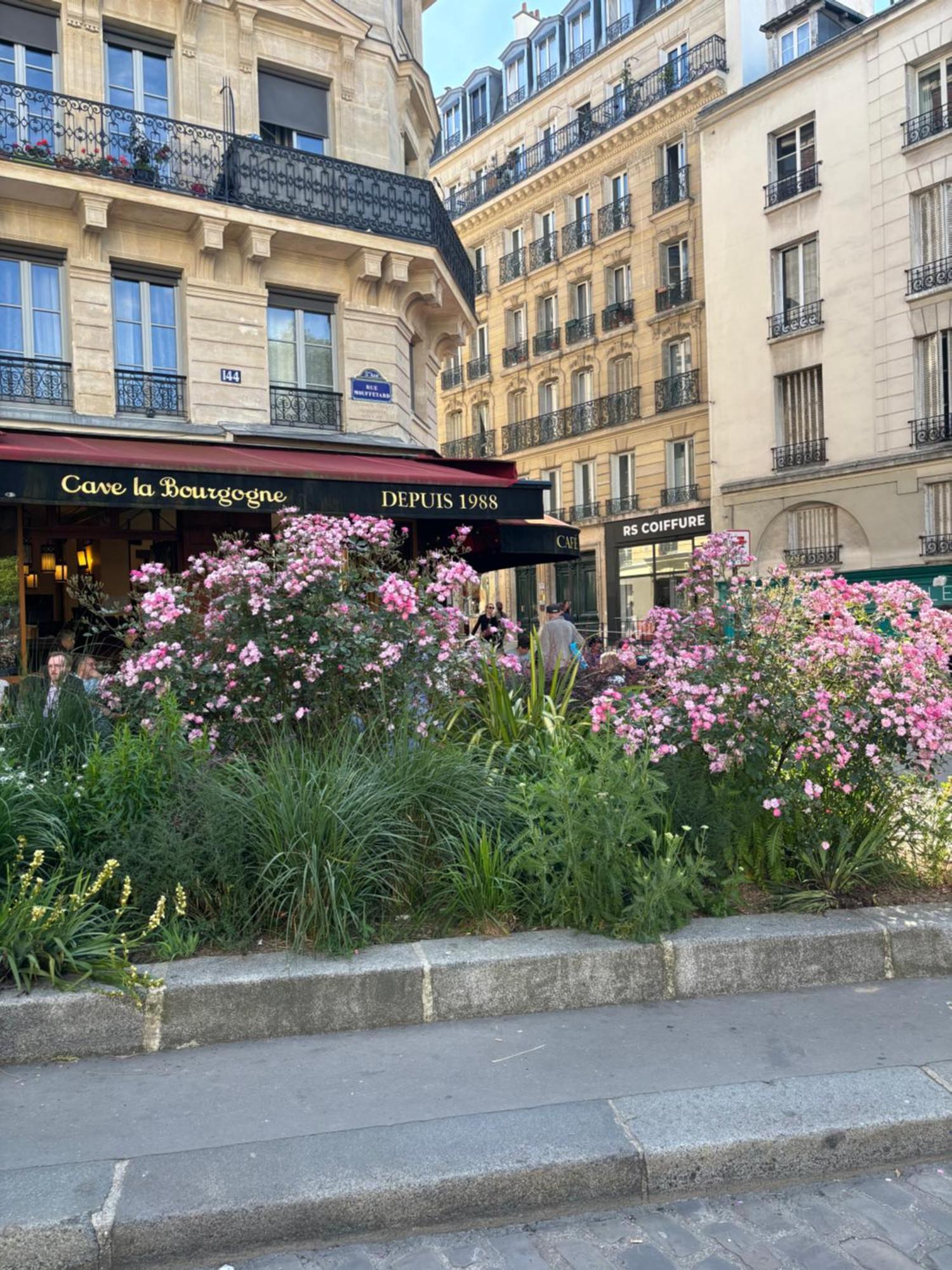 Apartment - Elegant Rue Mouffetard - Prestation De Luxe